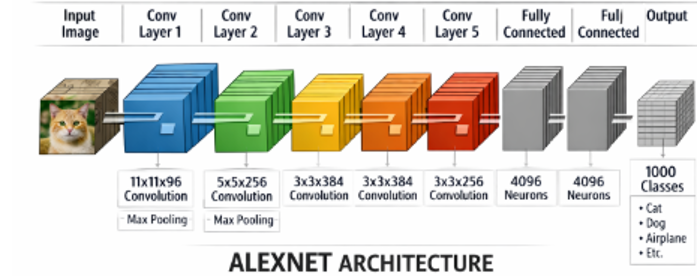 Alex Net