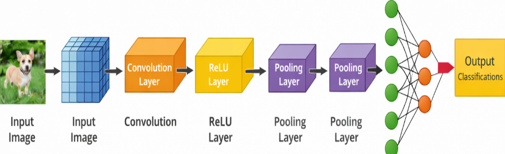 شبکه‌های عصبی کانولوشنی (Convolutional Neural Networks)